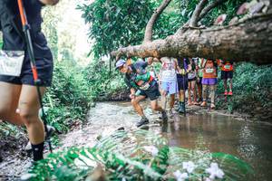 BIB: 
                            <button type="button" onclick="openModal(25468346)" class="btn btn-primary btn-sm float-right btn-popup" data-toggle="modal" data-target=".modal-high-quality">
                        <i class="fas fa-shopping-cart"></i> Add to Cart
                    </button>
                                            <button type="button" onclick="isThisMe(25468346, true)" class="btn btn-success btn-sm float-right btn-popup btn-isme hidden" data-toggle="tooltip" data-placement="bottom" title="นี่คือรูปของคุณใช่ไหม คลิกที่นี่เพื่อเอาเข้าอัลบั้ม">
                        <i class="fas fa-plus"></i> Add to album
                    </button>
                    <button type="button" onclick="isThisMe(25468346, false)" class="btn btn-warning btn-sm float-right btn-popup btn-isnotme hidden">
                        <i class="fas fa-ban"></i> Remove from album
                    </button>